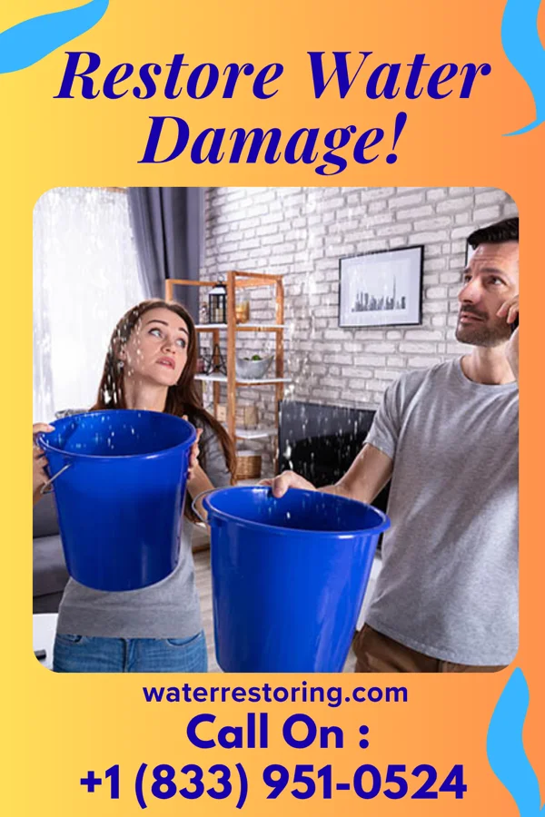 water restoration Complete Flood Cleanup LLC Lincoln