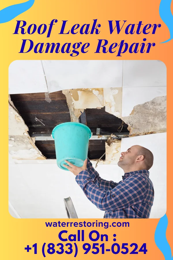 Roof Leak Water Damage Repair in Lincoln, MO