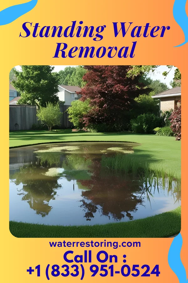 Standing Water Removal in Lincoln, MO